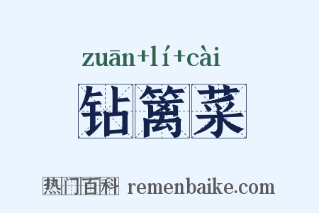 钻篱菜是什么意思的图片